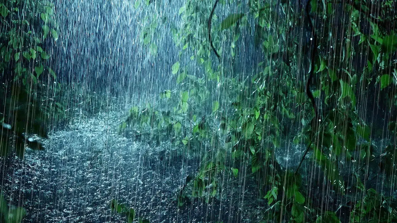 Listen & Sleep Immediately with Heavy Downpour Rain & Massive Thunder Sounds in Rainforest at Night